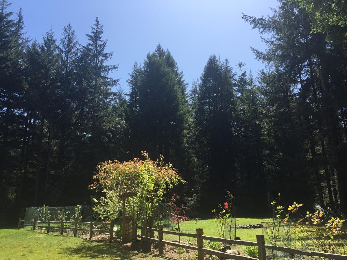Redwood Forest Crescent City Exterior foto